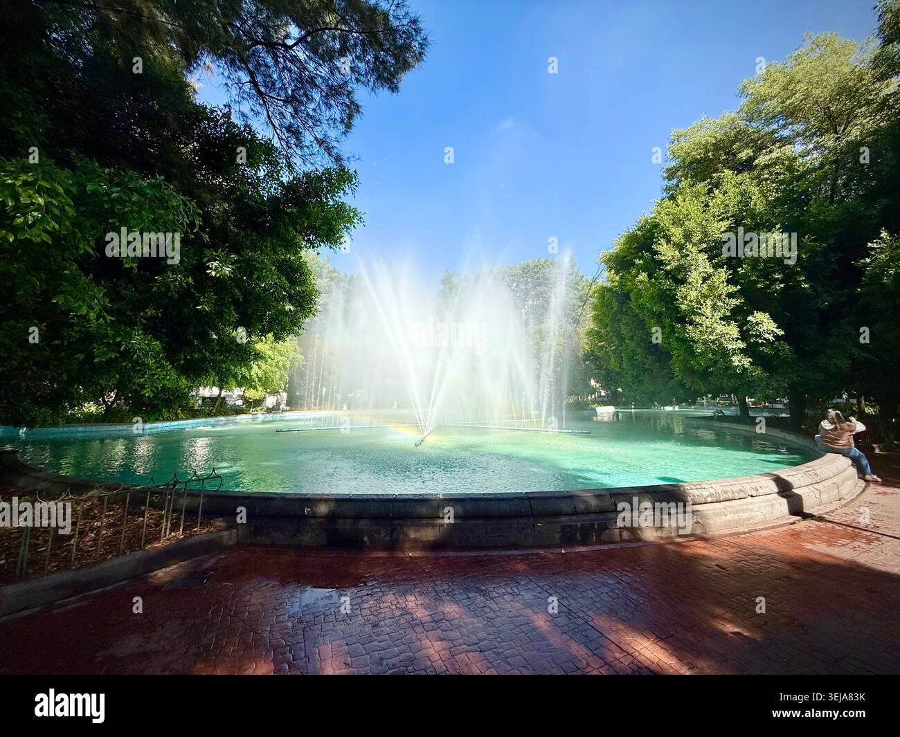 La fontana in Plaza Luis Cabrera spruzza acqua sotto gli alberi fitti di Roma Norte, città del Messico, offrendo un tranquillo spazio verde nel mezzo del cappio Foto Stock