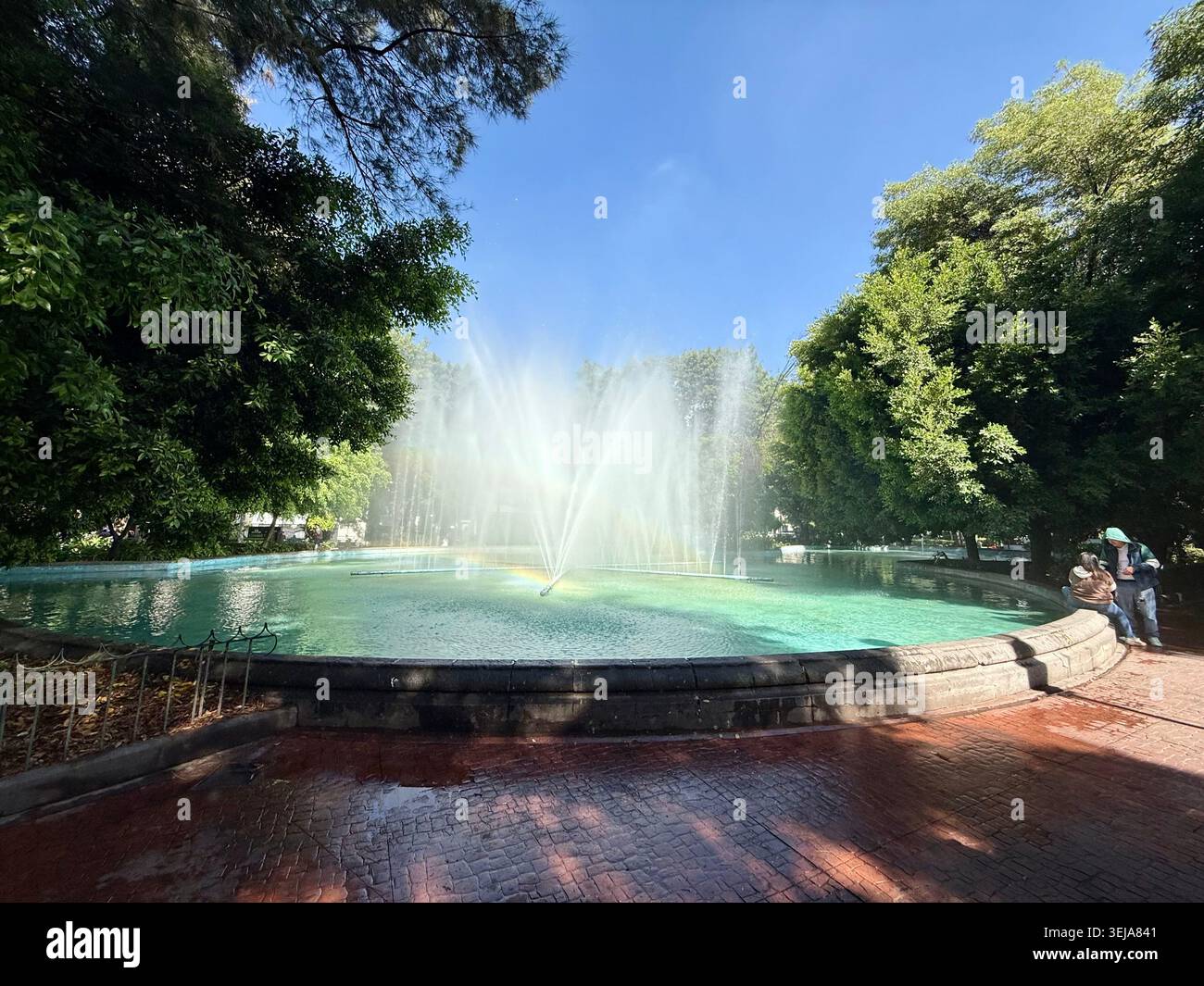 La fontana in Plaza Luis Cabrera spruzza acqua sotto gli alberi fitti di Roma Norte, città del Messico, offrendo un tranquillo spazio verde nel mezzo del cappio Foto Stock