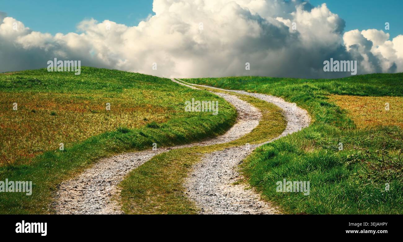 Si piega su una strada sterrata che si snoda attraverso un prato fino all'orizzonte. Percorso su un paesaggio estivo con erba e belle nuvole nel cielo blu. Foto Stock
