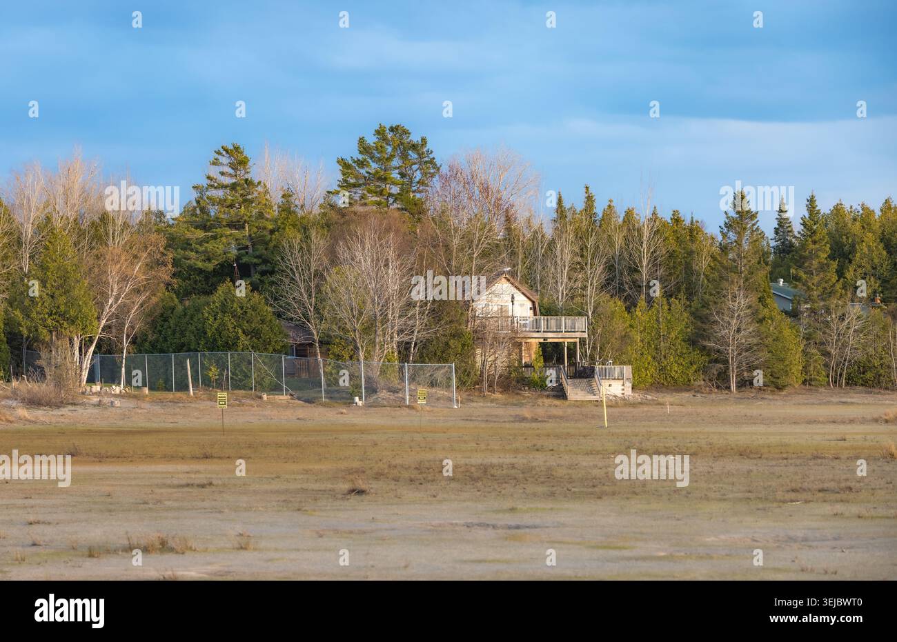 Un ambiente tranquillo caratterizzato da una capanna rustica annidata tra fitti alberi in un tranquillo ambiente forestale. Il paesaggio è immerso in luce naturale e soffusa Foto Stock