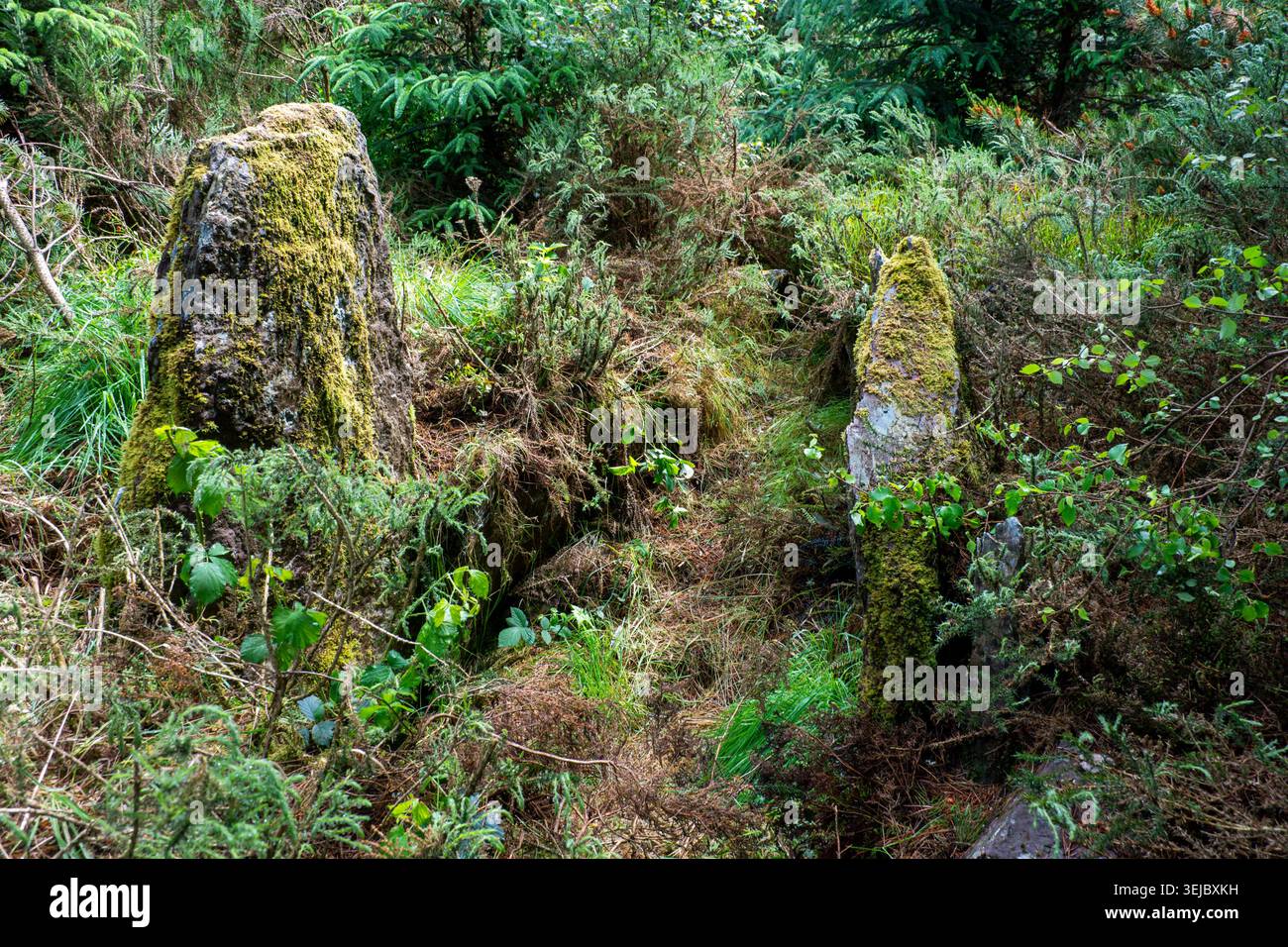 Tomba a cuneo di Slieveowen, vicino a Cappeen, Co Cork, Irlanda. Chiamata anche la tomba a cuneo di Labbaowen. Foto Stock
