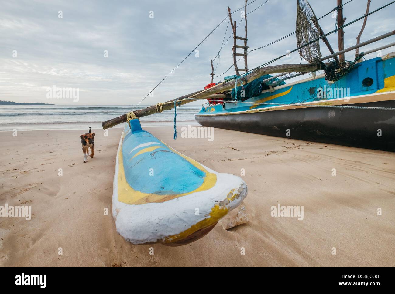 Foto grandangolare della tradizionale barca da pesca dello Sri Lanka d'epoca con stabilizzatore sulla spiaggia sabbiosa e un piccolo cane che cammina vicino al mare che rappresenta mariti locali Foto Stock