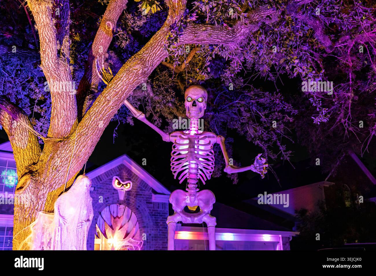 Schemale gigante illuminato con occhi luminosi si trova accanto a una quercia illuminata di viola sopra una casa di mattoni in una mostra di cortile di Halloween in Texas di notte Foto Stock