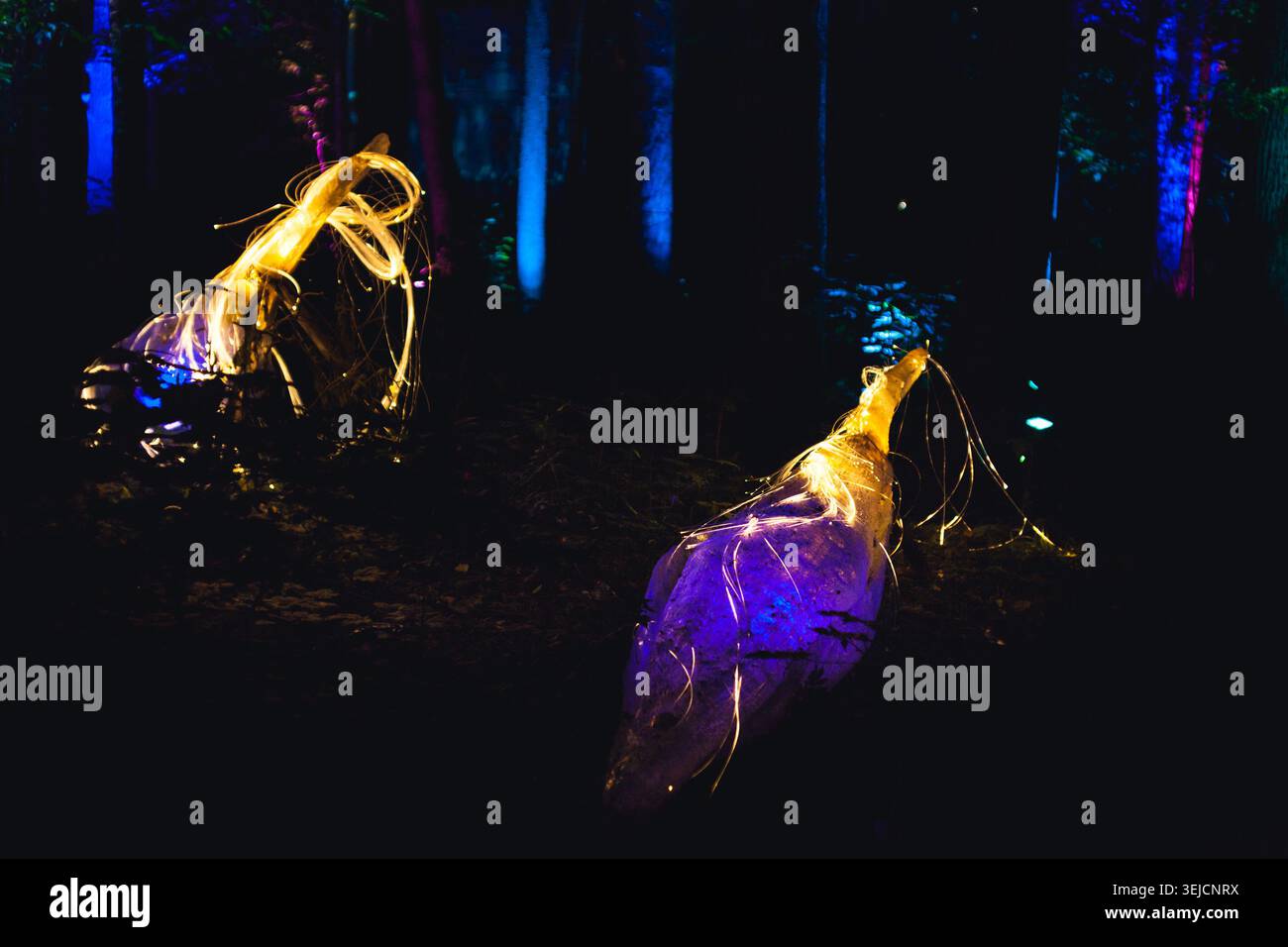 Sculture mistiche astratte brillanti con elementi in fibra ottica nella foresta notturna buia Foto Stock
