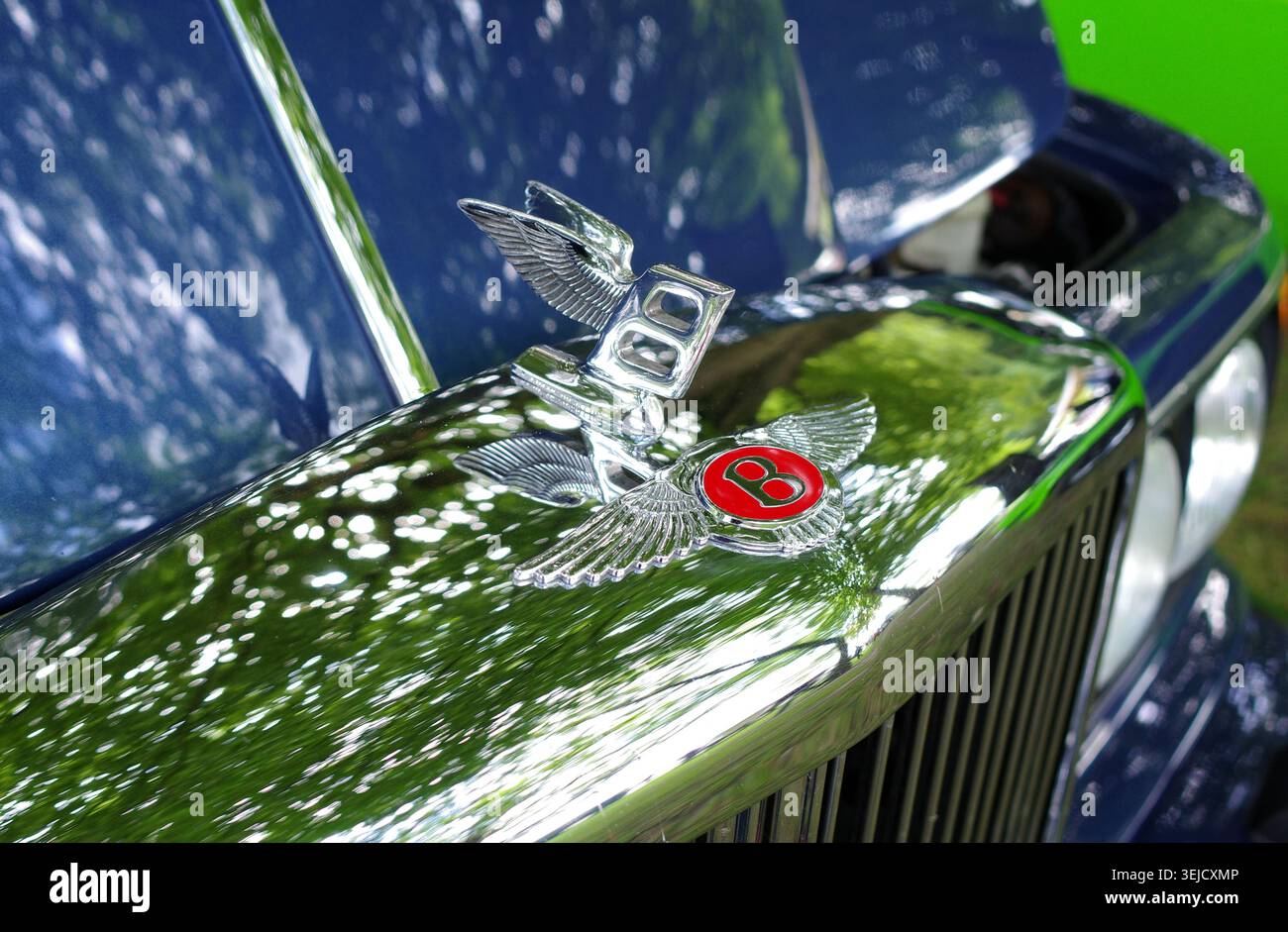 Bad Bentheim, Germania - 13 luglio 2025 Un logo B alato rosso con un cappuccio Flying B argentato di Bentley. Red è sinonimo di passione ed entusiasmo. Foto Stock