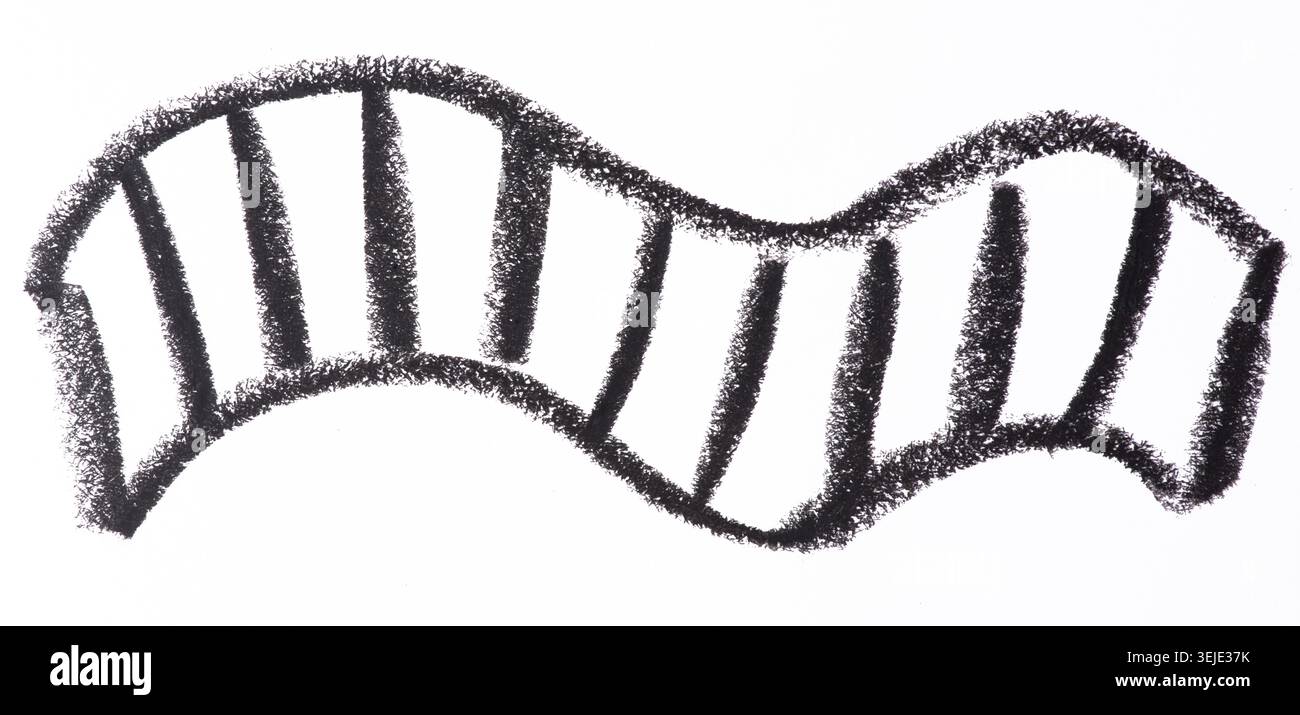 Linea ondulata disegnata con pastello nero su sfondo bianco. La consistenza del pastello è chiaramente visibile, creando una ef irregolare e disegnata a mano Foto Stock