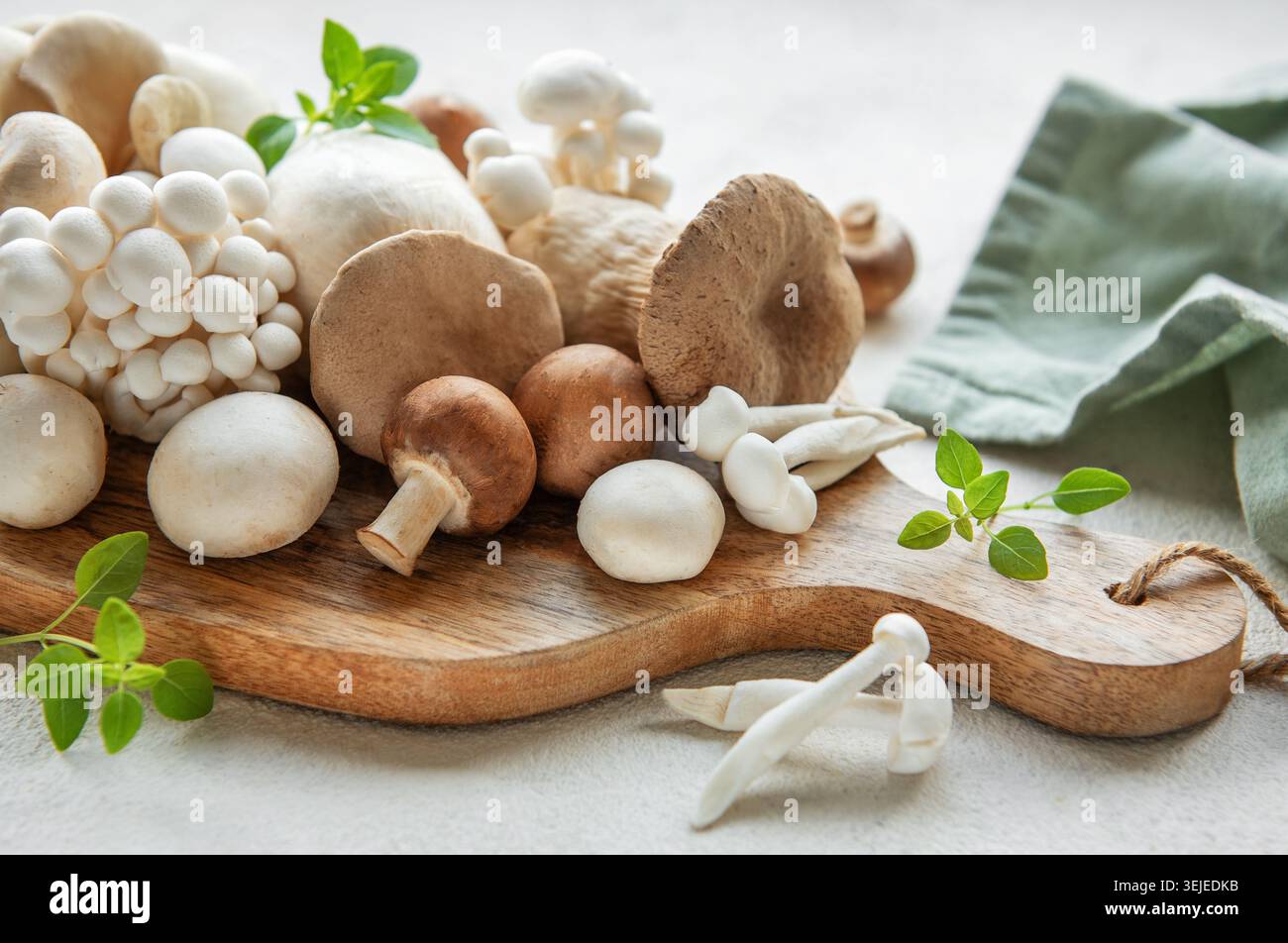 Assortimento di funghi vari Foto Stock