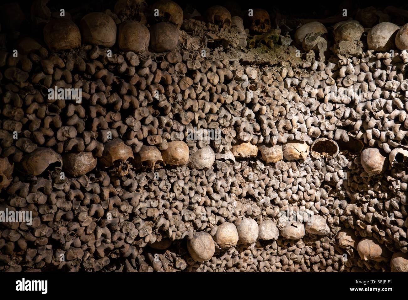 Vista dettagliata di una parete di ossa a motivi geometrici con una linea di teschi nelle Catacombe di Parigi, Parigi, Île-de-France, Francia, sotto una calda luce artificiale. Foto Stock