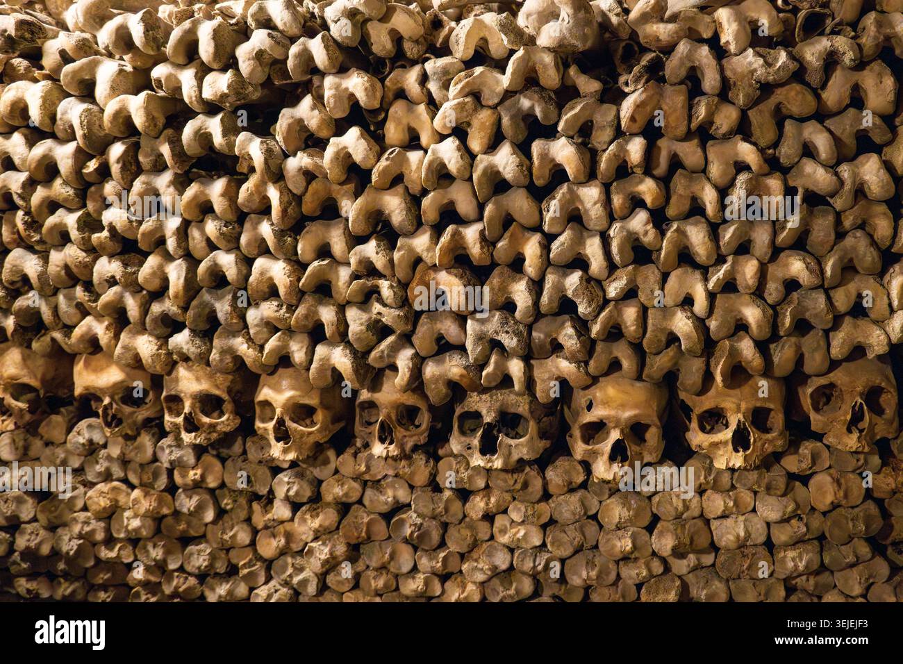 Vista ravvicinata dei teschi incastonati in una parete di ossa disposte nelle Catacombe di Parigi, Parigi, Île-de-France, Francia, che mostrano consistenza e luce calda. Foto Stock