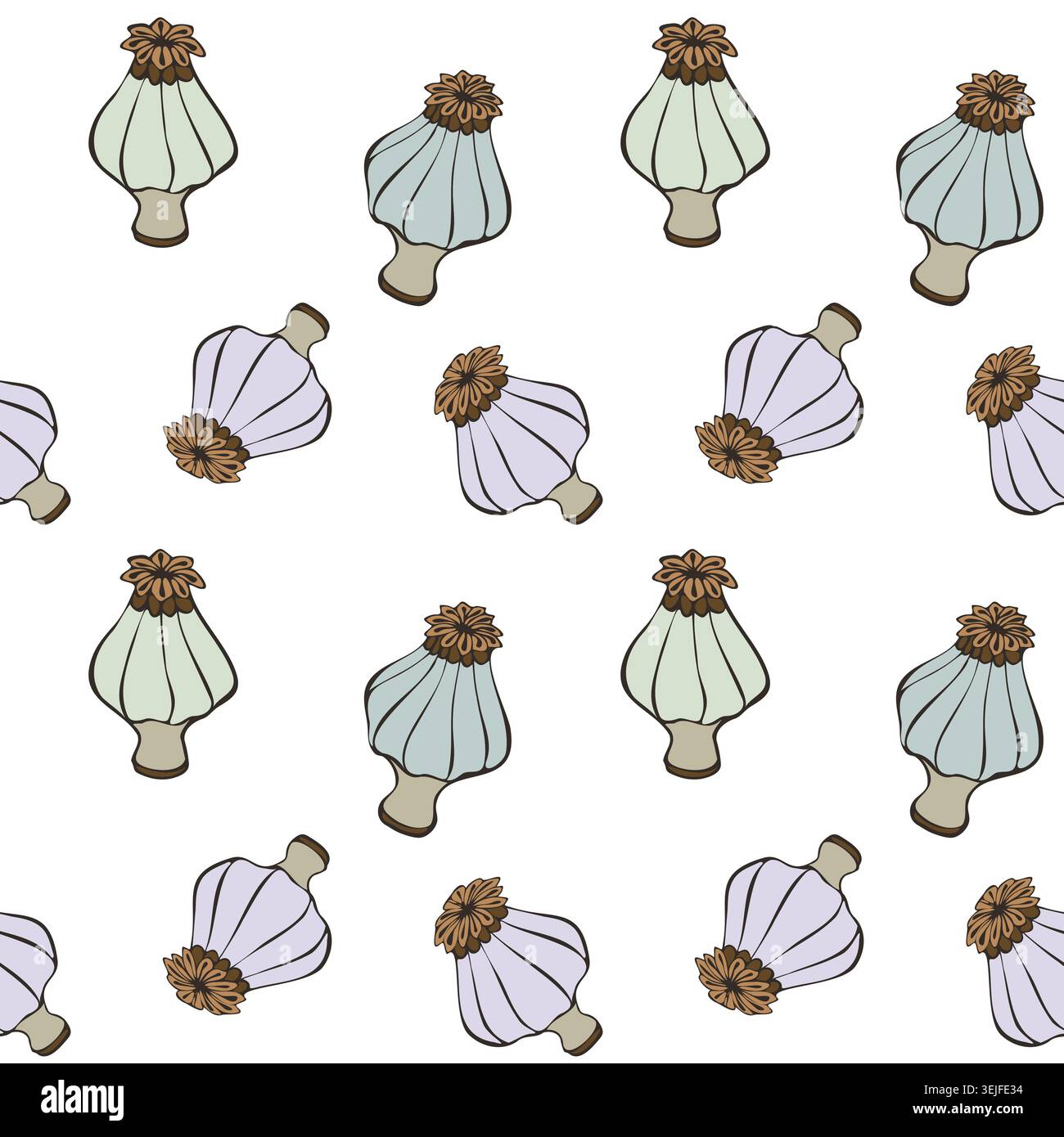 motivo con teste di semi di papavero color pastello su sfondo bianco. Illustrazione botanica disegnata a mano per la stampa in tessuto, l'arredamento della cucina e il pac organico Illustrazione Vettoriale