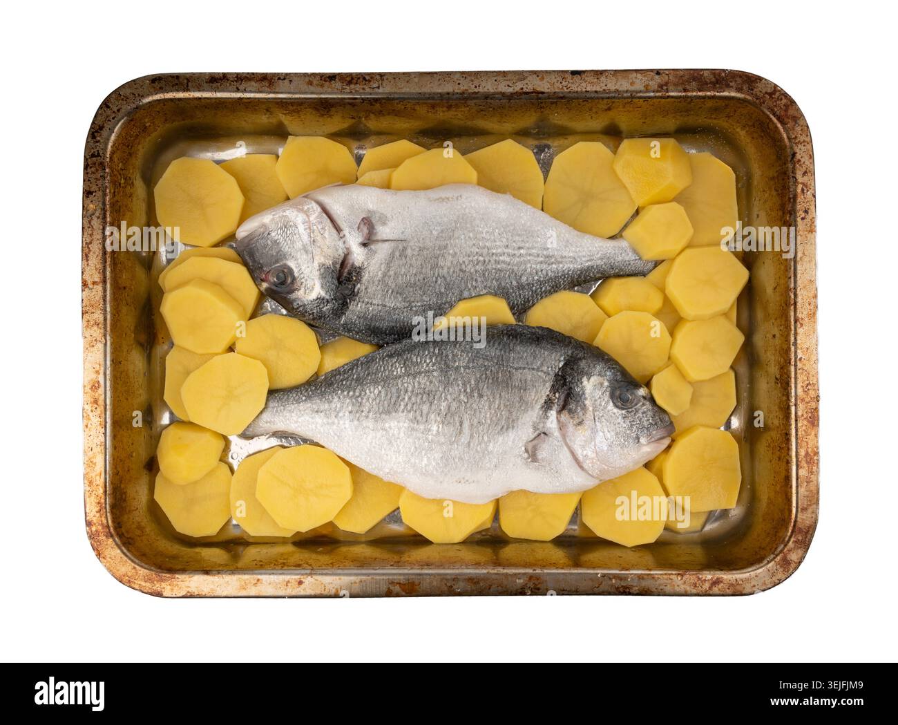 Pesce dorado su una teglia da forno con patate. Orata, dorata, dorata, dorata cruda, dorata, dorata cruda, doraden o sparus aurata con contorno top V Foto Stock