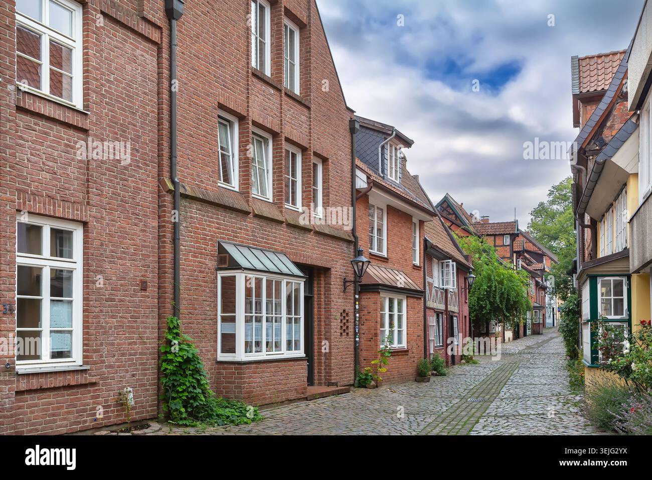 Strada nelle aree di affondamento di Luneburg, Germania Foto Stock