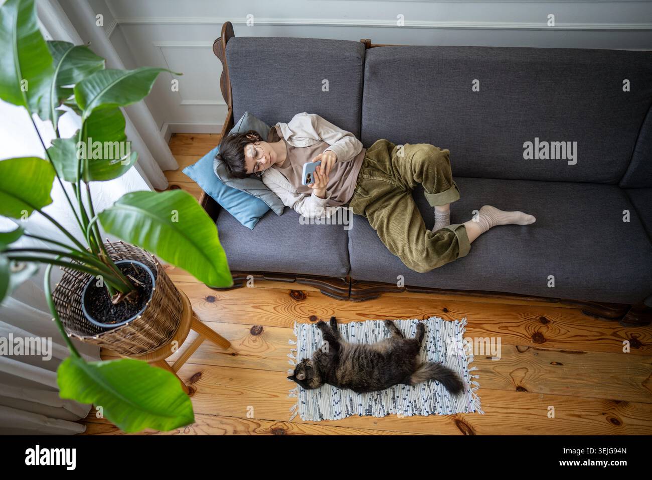Donna impegnata con contenuti telefonici mentre il gatto riposa vicino, stile di vita passivo. Apatia, fissazione tecnologica Foto Stock