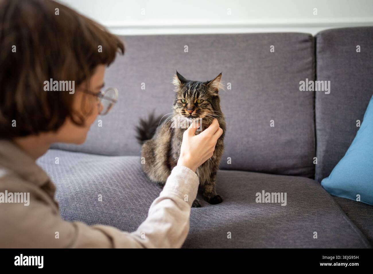 Donna gentile che accarezza il gatto distratto da qualcosa sul divano. Curiosa caccia di animali domestici a casa Foto Stock