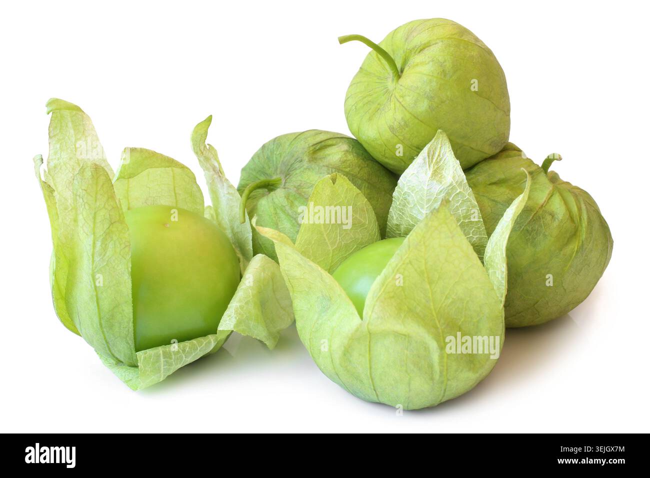 Tomatillo verde fresco (Physalis philadelphica) con buccia Foto Stock