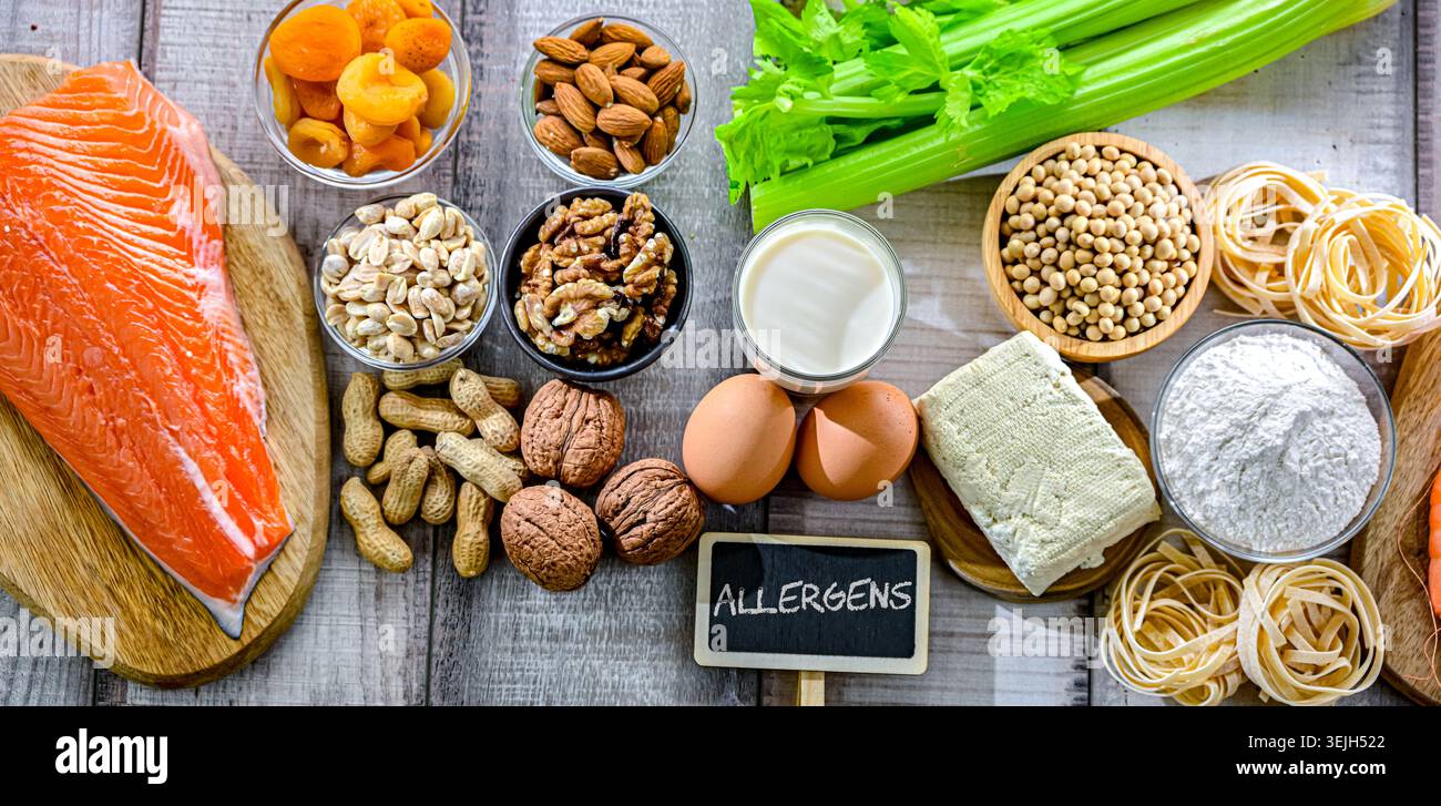 Allergeni alimentari comuni, compresi uova, latte, soia, noci, pesce, pesce, farina di grano, albicocche secche e sedano Foto Stock