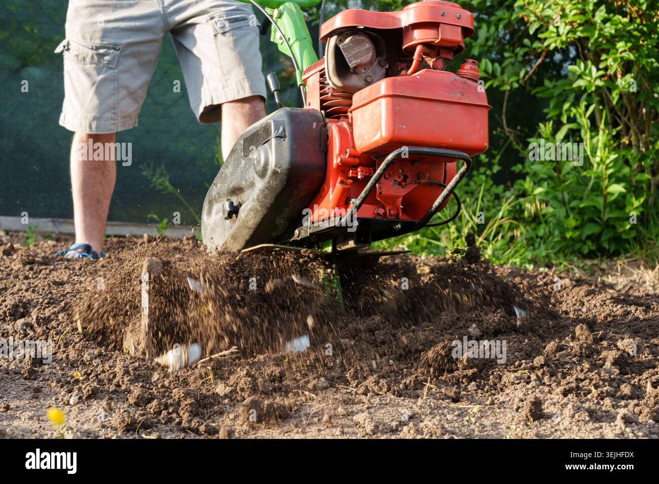 Uomo che usa un coltivatore a motore per allentare il terreno in giardino da vicino Foto Stock