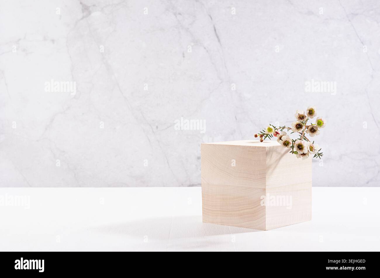 Elegante podio a cubetti in legno beige con piccoli fiori primaverili bianchi su lavagna bianca e parete in marmo grigio per l'esposizione dei prodotti e la pres Foto Stock
