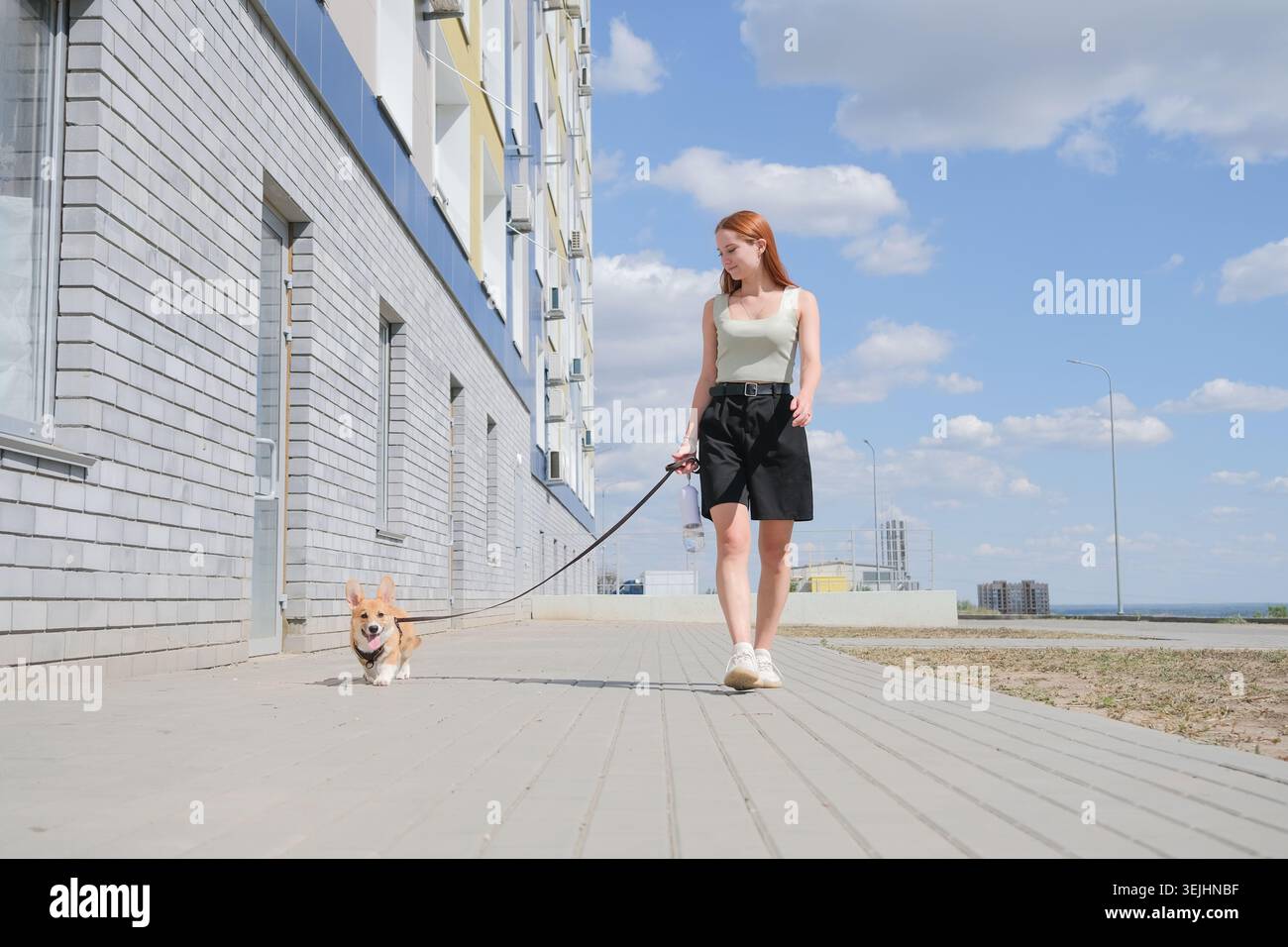 Giovane donna che cammina il suo cucciolo di corgi in città Foto Stock