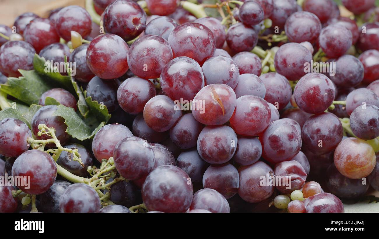 Grappoli di uve rosa o rosse con foglie di uva. Foto Stock