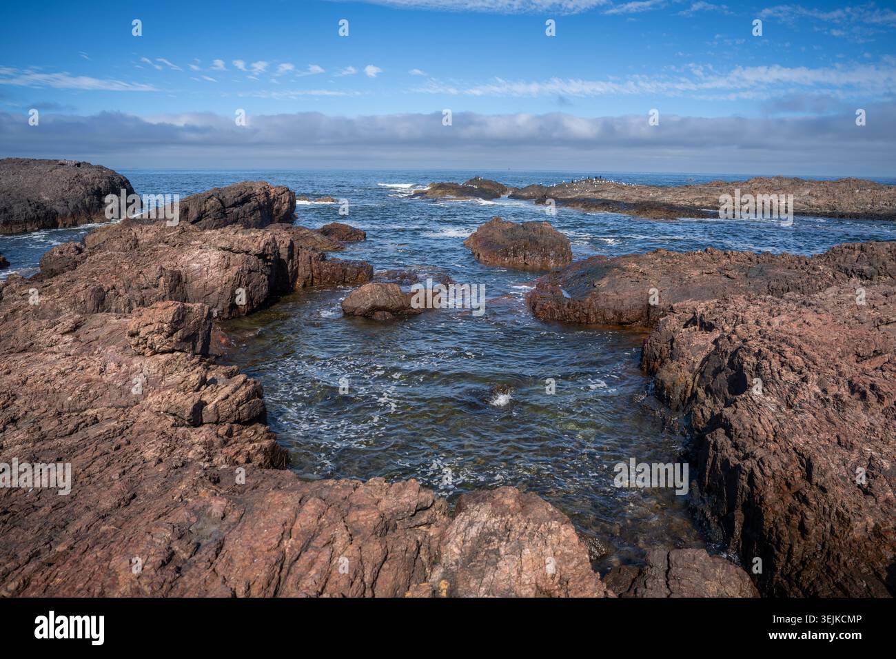 Una splendida vista costiera di Punta Ballena vicino a Punta del Este, Uruguay. La scena presenta aspre rocce scure lungo la riva con piccoli uccelli selvatici Foto Stock