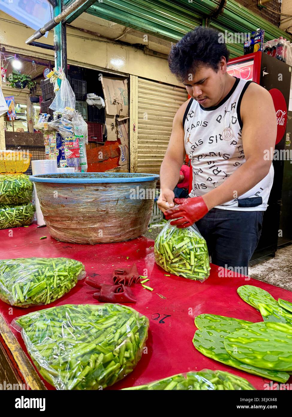 Un commerciante di mercato confeziona pagaie di cactus a fette, o nopales, al Mercado de la Merced di città del Messico, Messico. - Immagine stock catturata con smartphone