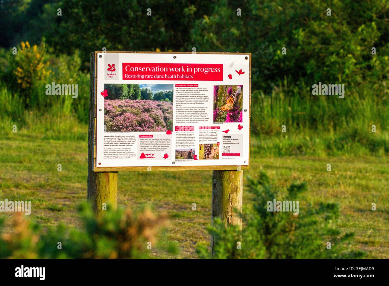 Comitato informativo del National Trust "Conservation Work in Progress - Restoring rare dune heath habitat" in un prato rurale. Foto Stock