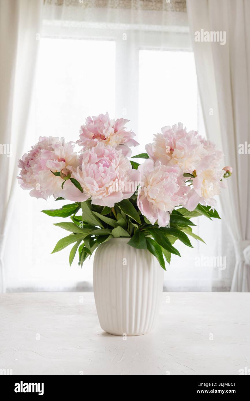 Grande bouquet di peonie rosa in vaso bianco alla finestra Foto Stock