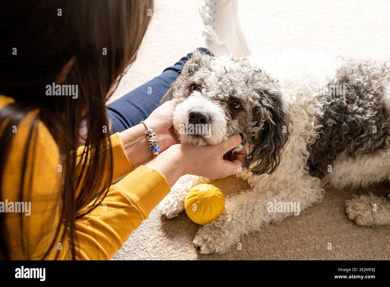 Bella donna con un cane giocoso che si diverte a casa Foto Stock