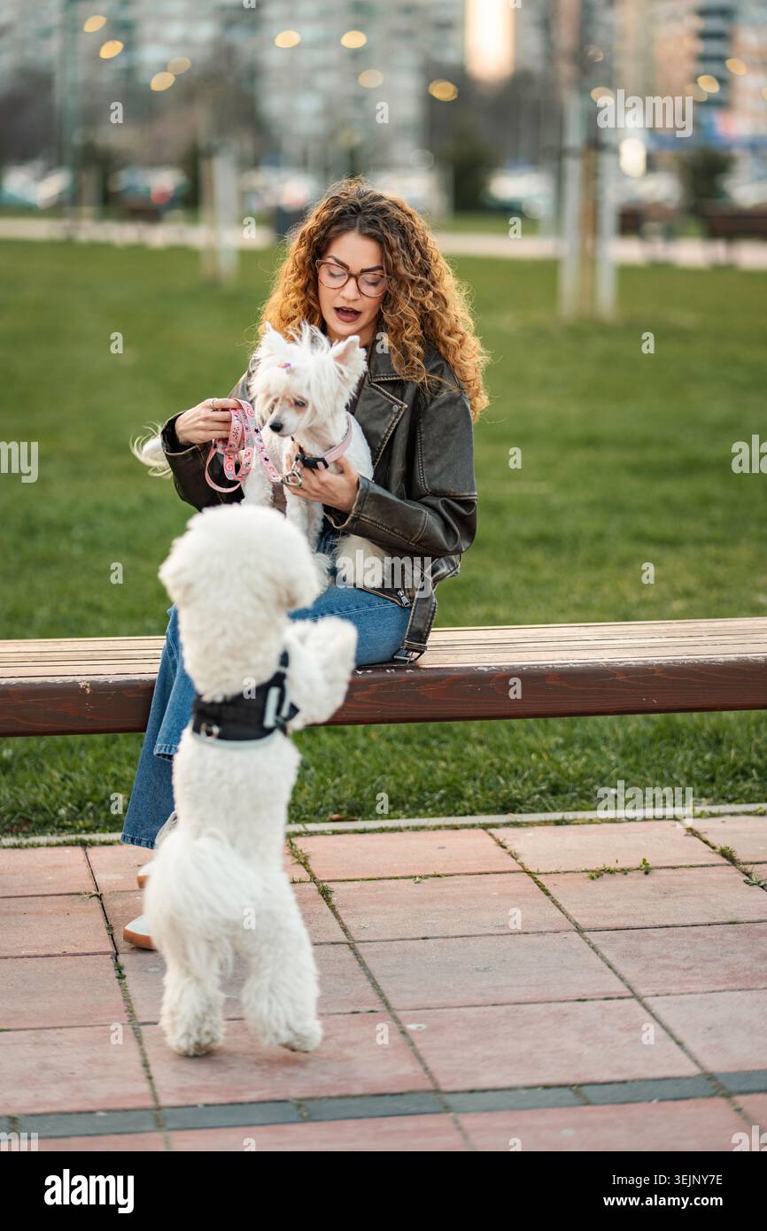 Giovane donna adulta che allena gli animali domestici sulla panca del parco Foto Stock
