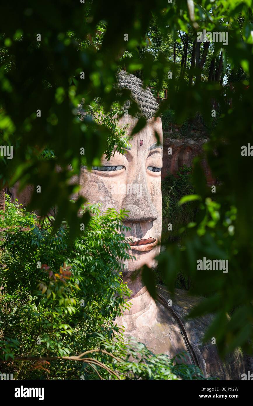 Primo piano della gigantesca facciata in pietra di Leshan Buddha incorniciata da foglie di alberi verdi nel Sichuan, in Cina Foto Stock