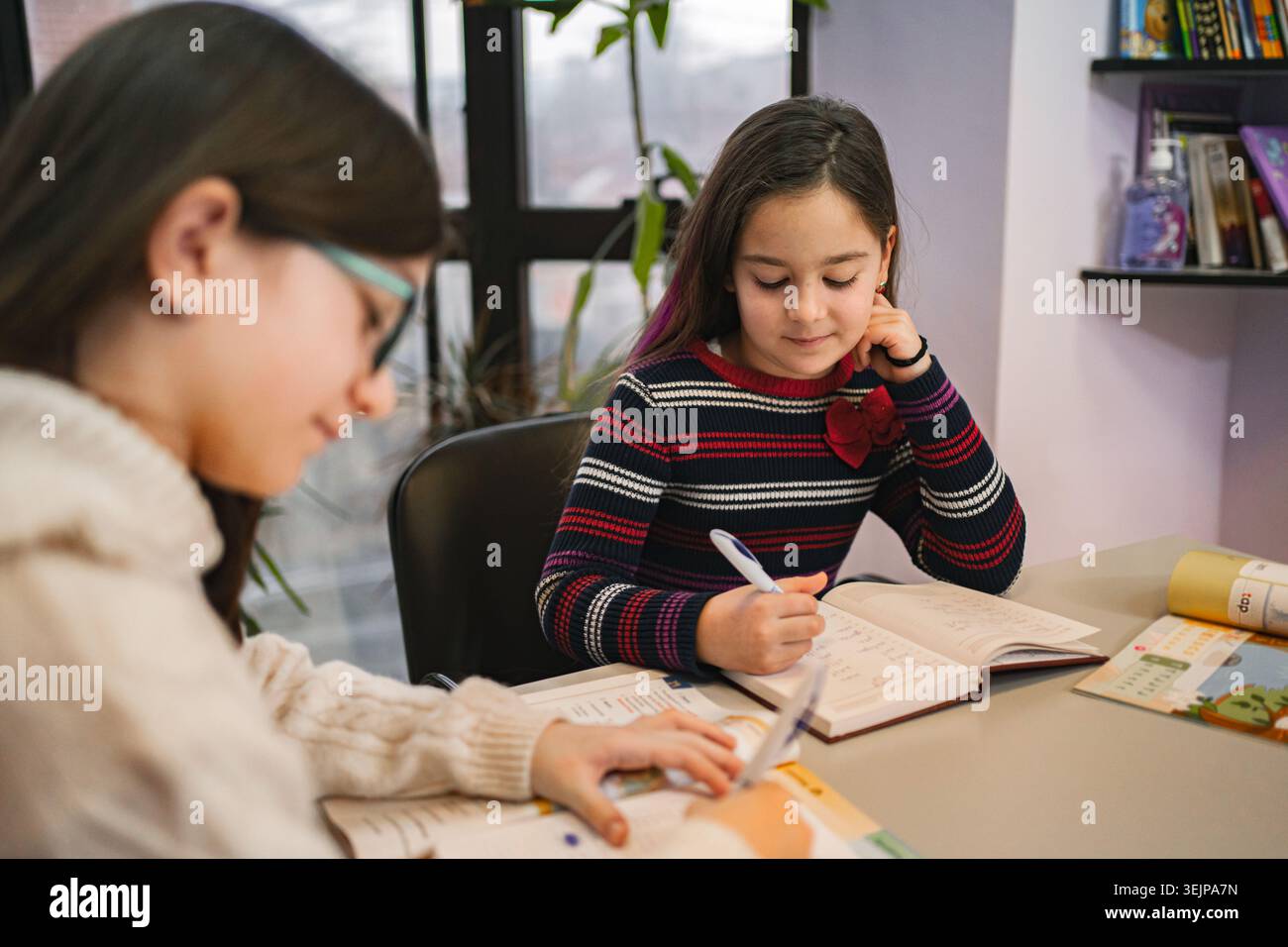 Due studentesse che imparano insieme a un corso di lingue Foto Stock