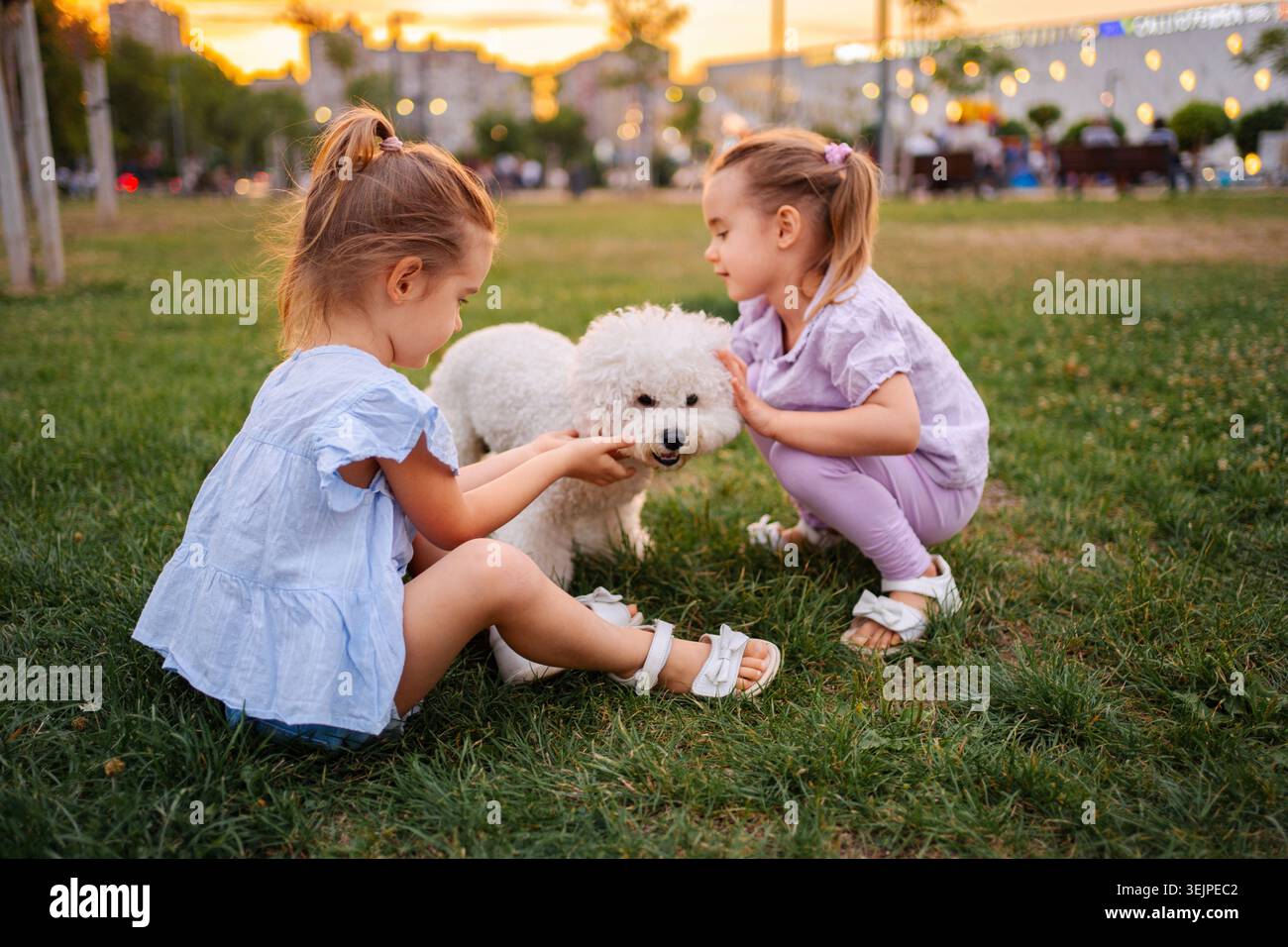 Due ragazze in età prescolare accarezzano un cane in un parco al tramonto Foto Stock
