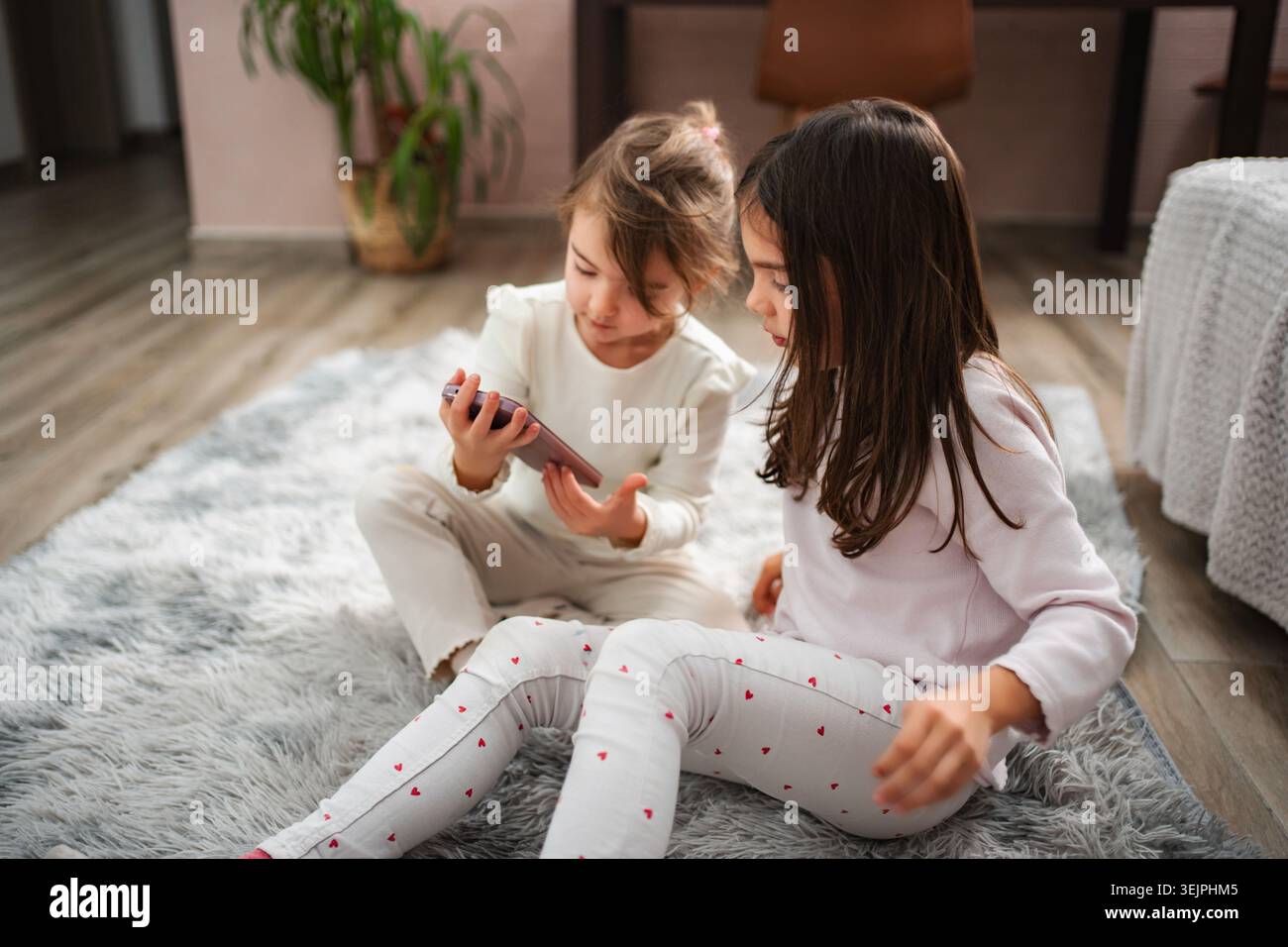 Ragazze che condividono lo smartphone, guardano insieme i contenuti educativi Foto Stock