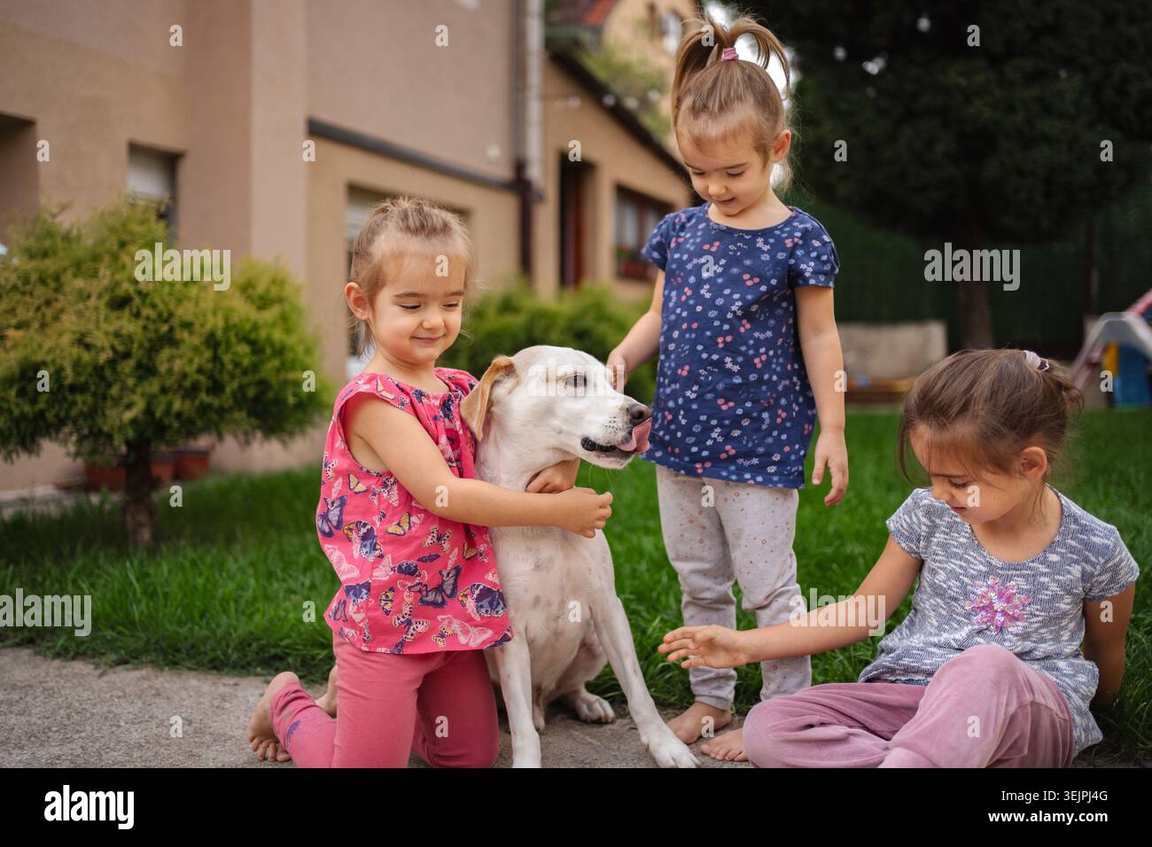 I bambini giocano con gioia con il loro cane in giardino Foto Stock