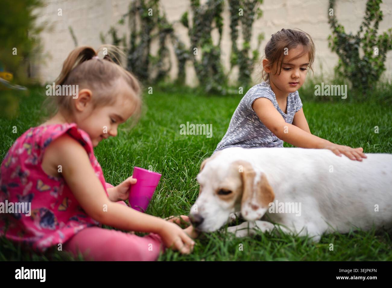 Due bambini giocheranno con gioia con il loro cane in giardino Foto Stock
