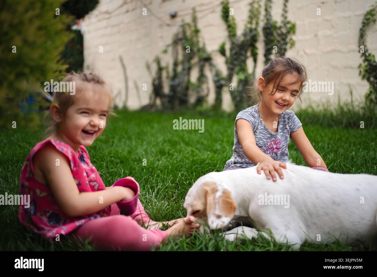 Momenti di gioia condivisi da due bambini con il loro cane giocoso Foto Stock