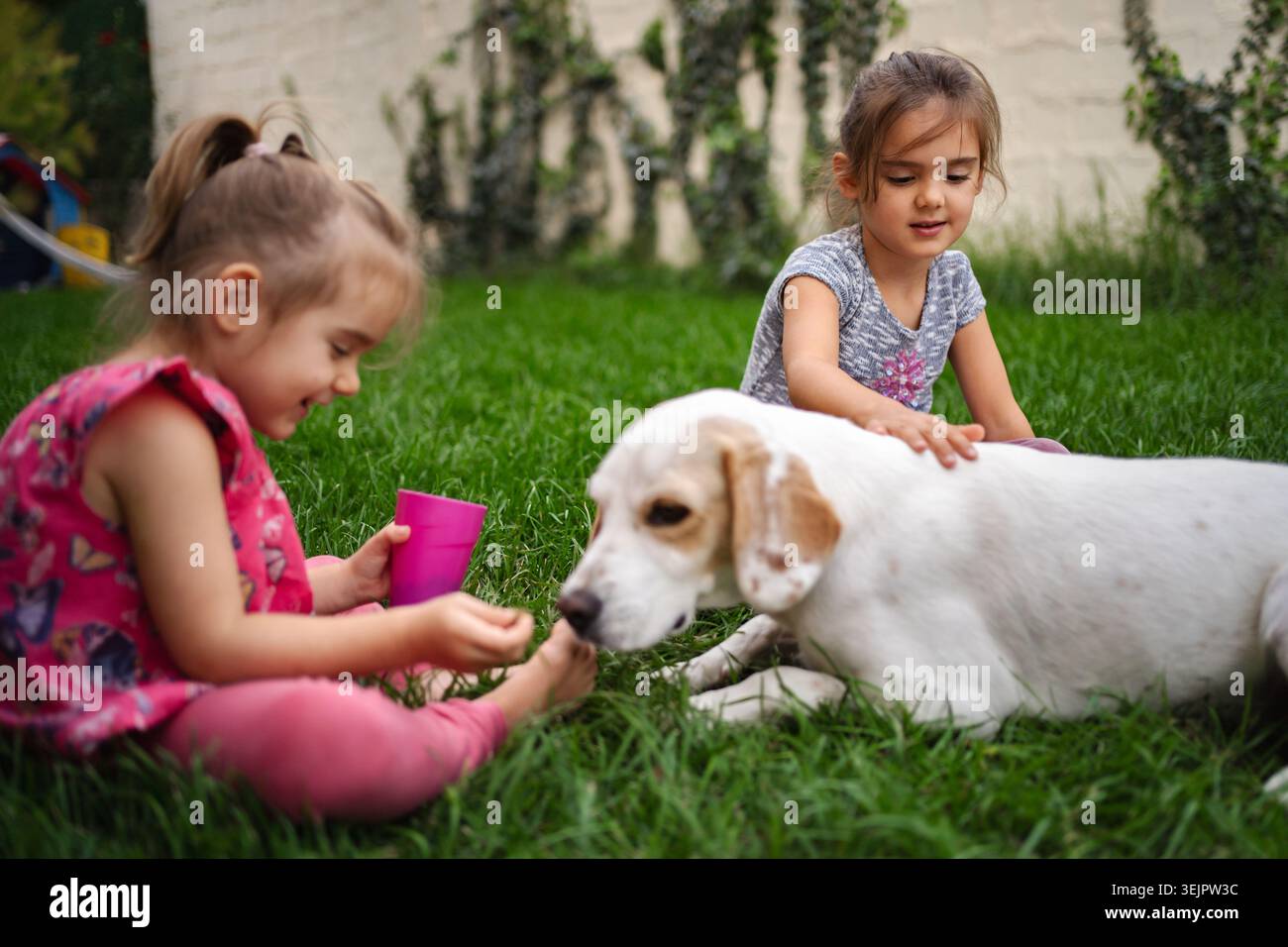 Due ragazze gioiose che giocano con un cane amichevole in un giardino vivace Foto Stock
