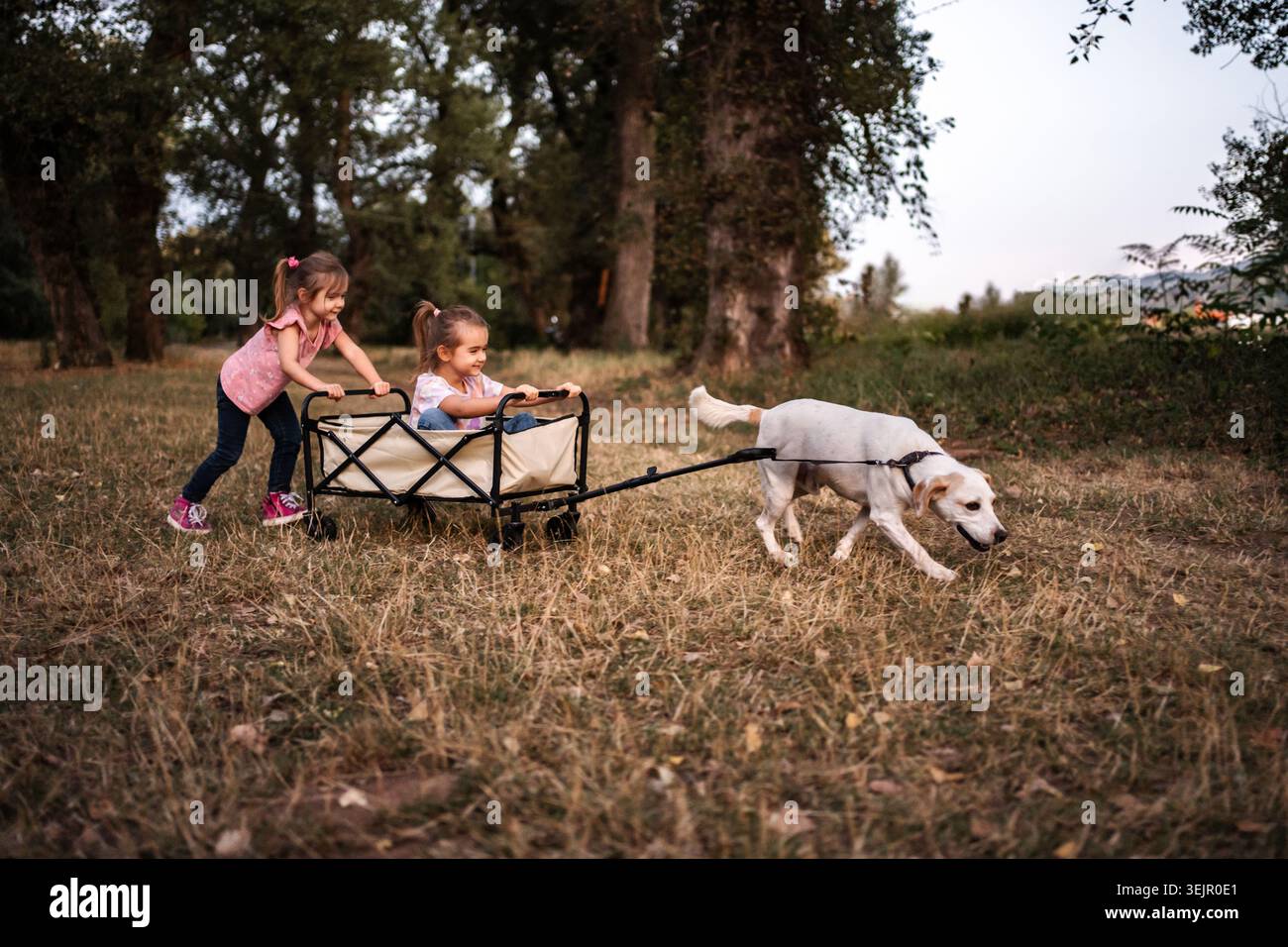 Carrello per cani con due ragazze in un parco Foto Stock