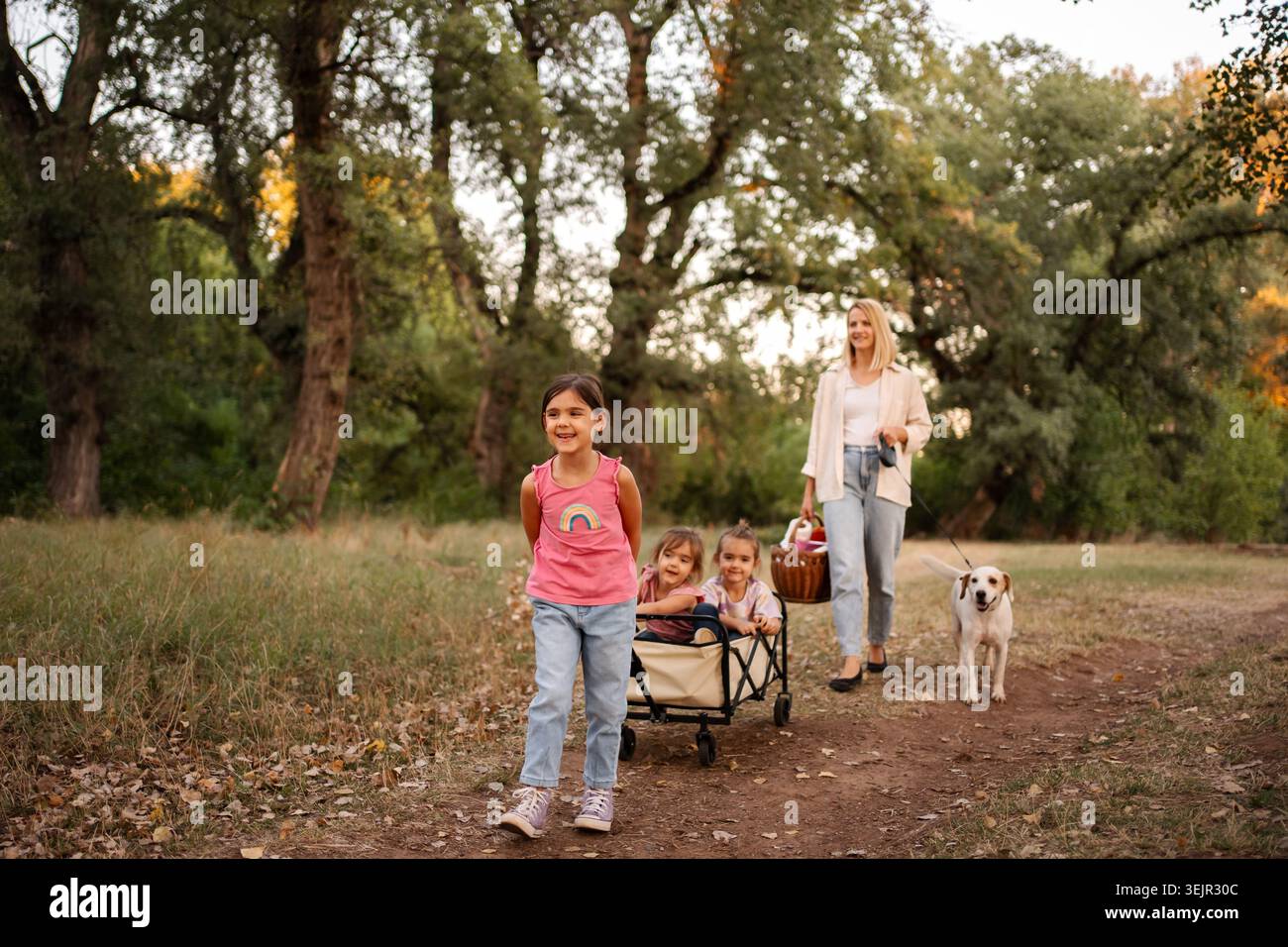 Una famiglia felice che cammina nel bosco con il suo cane e il carro pieghevole Foto Stock