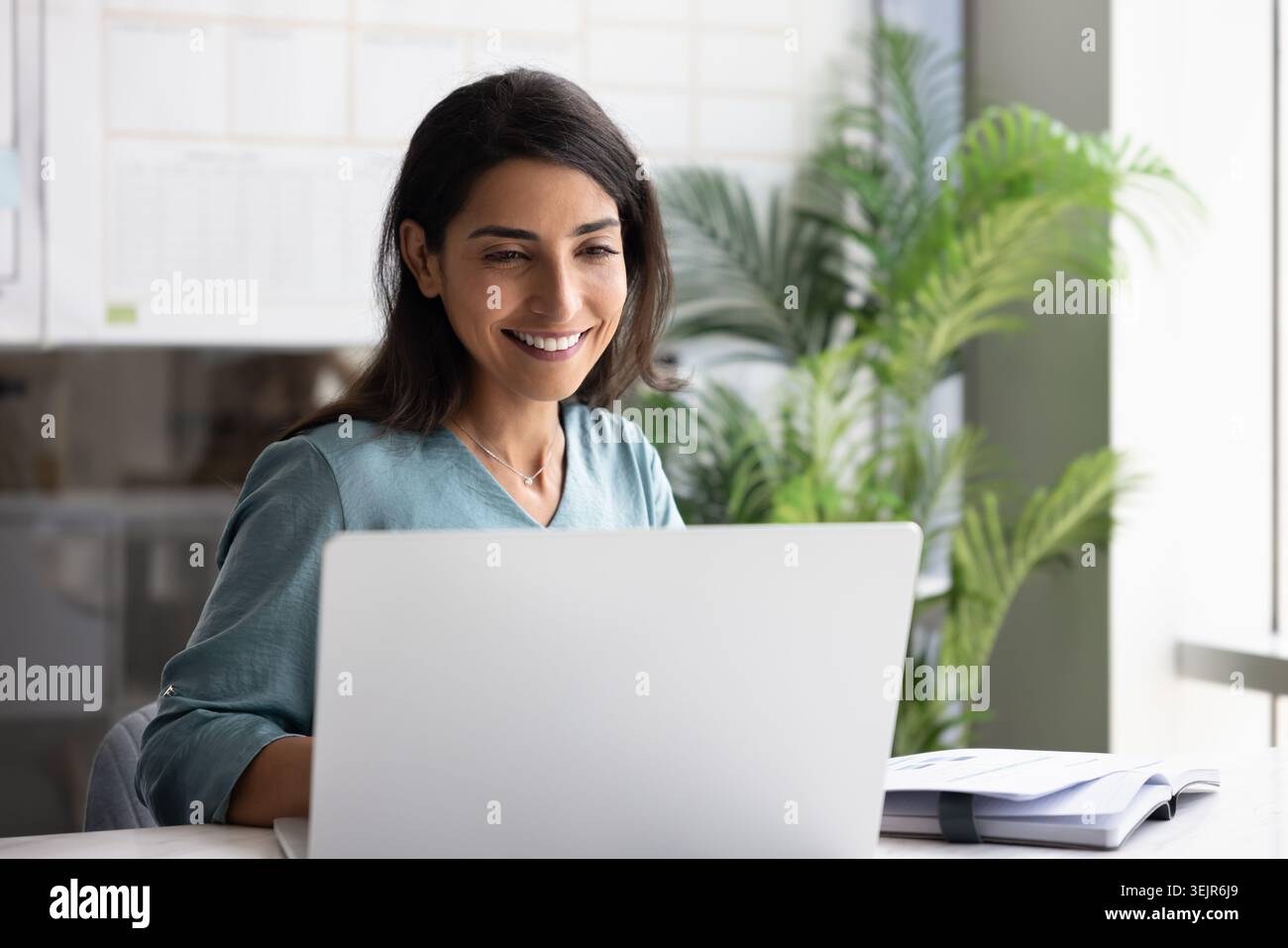 Donna sorridente che lavora su un notebook in un ufficio moderno Foto Stock