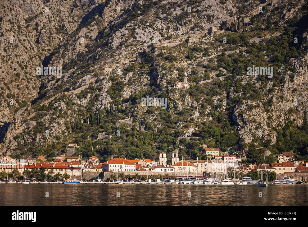 Città di Cattaro e porto in una giornata di sole, Montenegro. Foto Stock