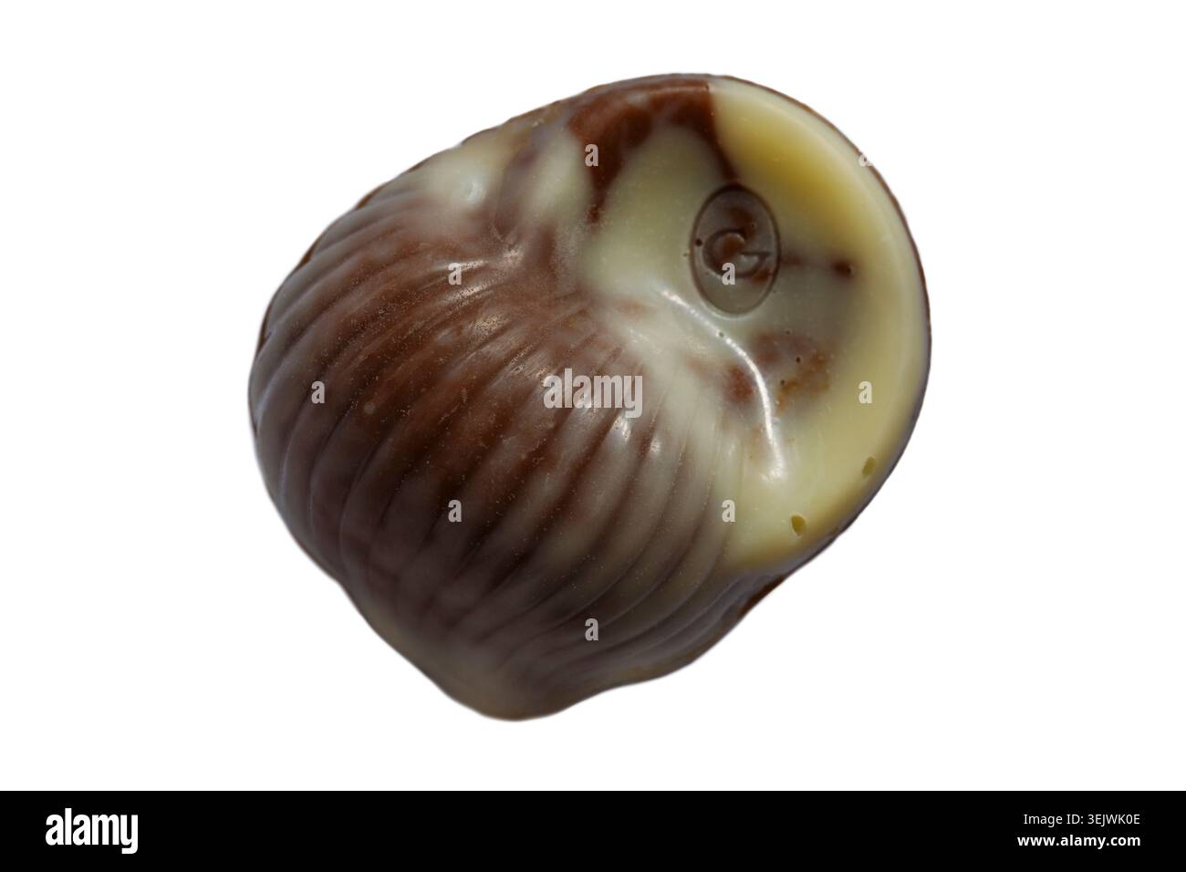 Cioccolatini belgi guiliani con conchiglie di cioccolato a conchiglia isolate su sfondo bianco - migliori cioccolatini belgi con farcitura di nocciole praline Foto Stock