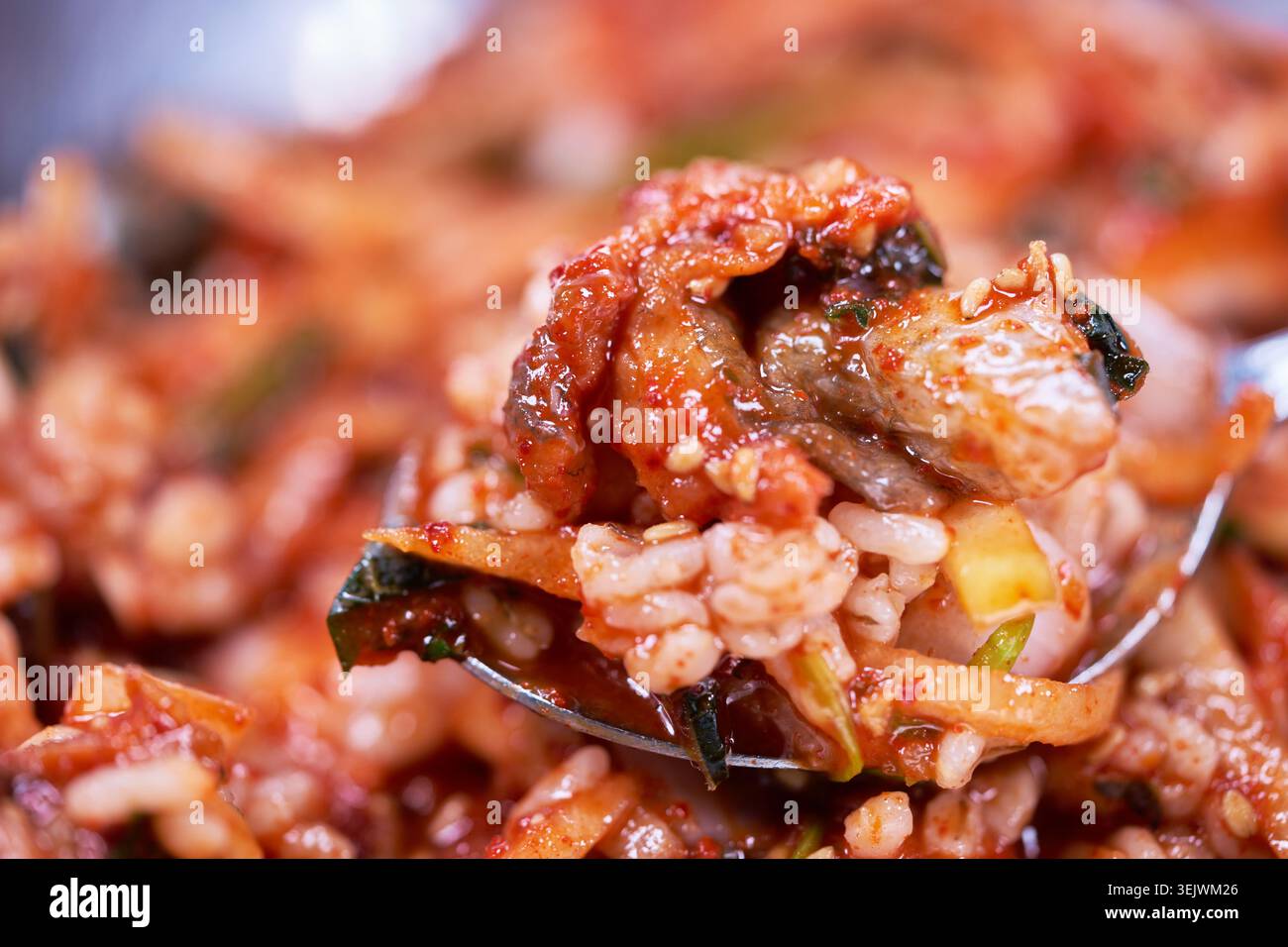 Questo pasto costiero coreano presenta un'insalata piccante di fango servita con riso e contorni. Condita con salsa al peperoncino rosso, offre una delizia gommosa. Foto Stock