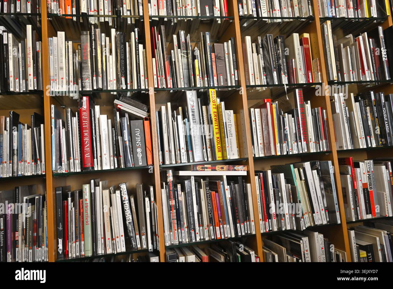 Biblioteca di libri nel museo della fotografia (Musée de la Photographie Charles Nègre) Foto Stock