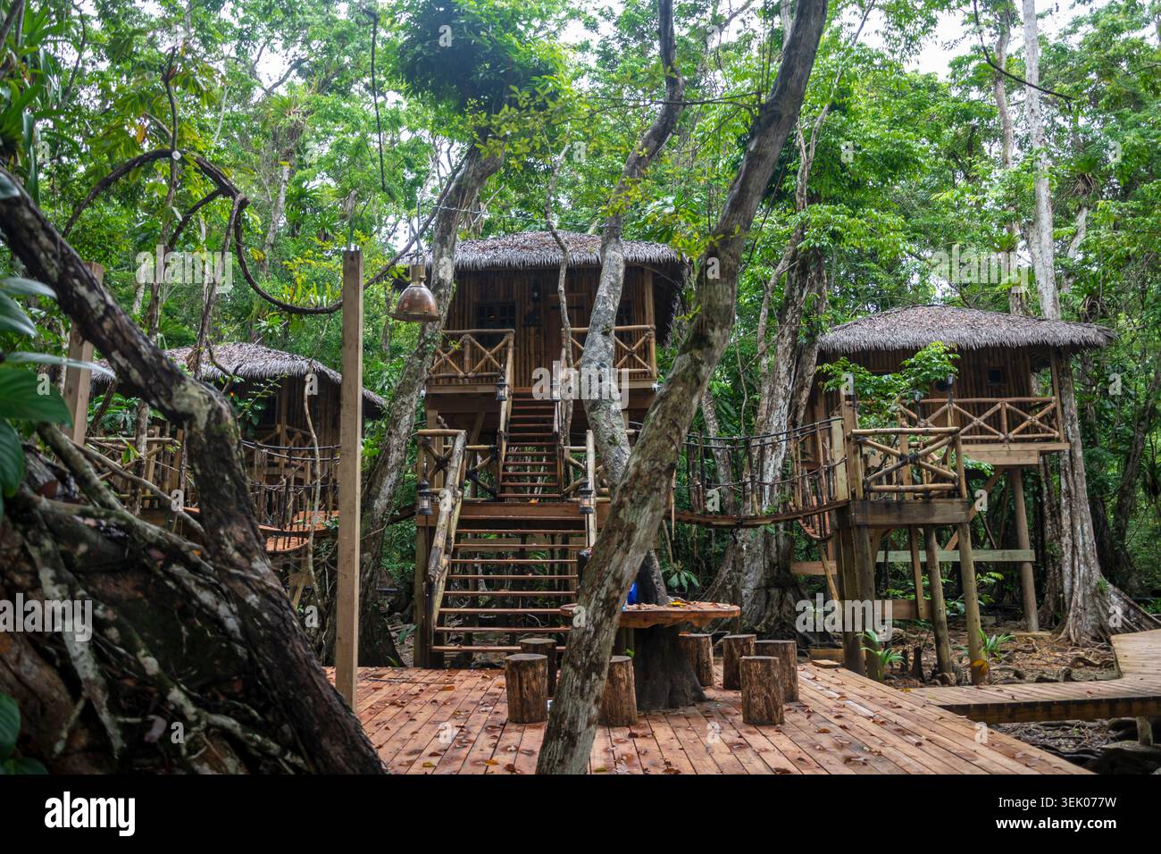 Lussuoso Jungle Treehouse Resort nella foresta pluviale tropicale di Bocas del Toro, Panama Foto Stock