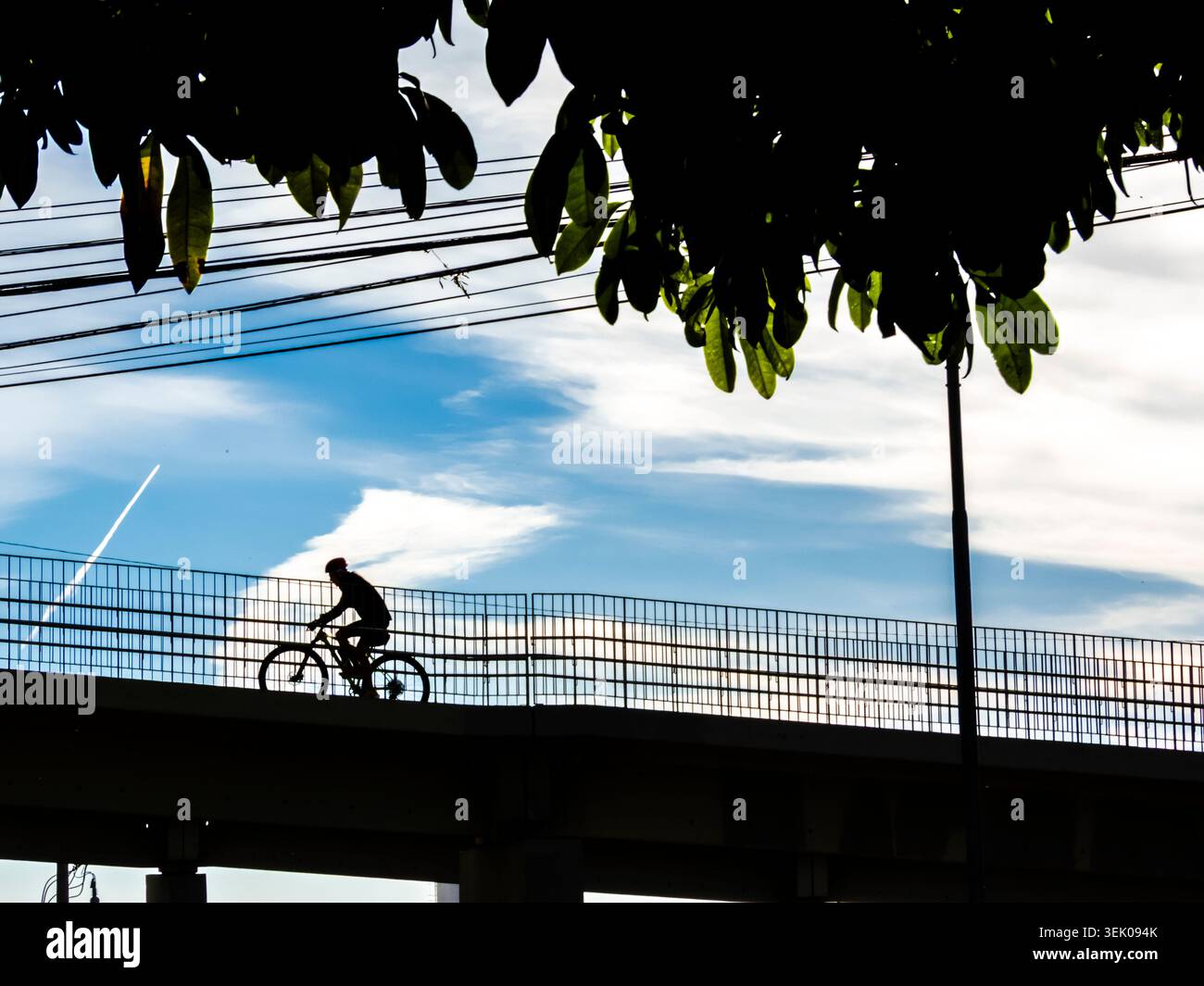 Profilo basso di una persona che viaggia in bicicletta su un cavalcavia strutturato contro un cielo blu nuvoloso in Brasile. Immagine concettuale della folla urbana Foto Stock