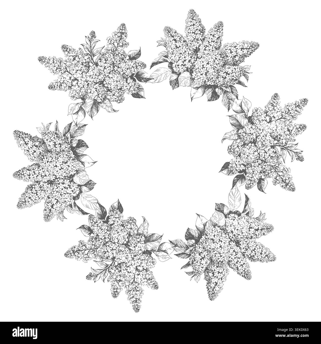Una corona delle loro lillas fiorenti, schizzo. illustrazione vettoriale. Cornice rotonda floreale di mazzi di fiori, isolata su sfondo bianco Illustrazione Vettoriale