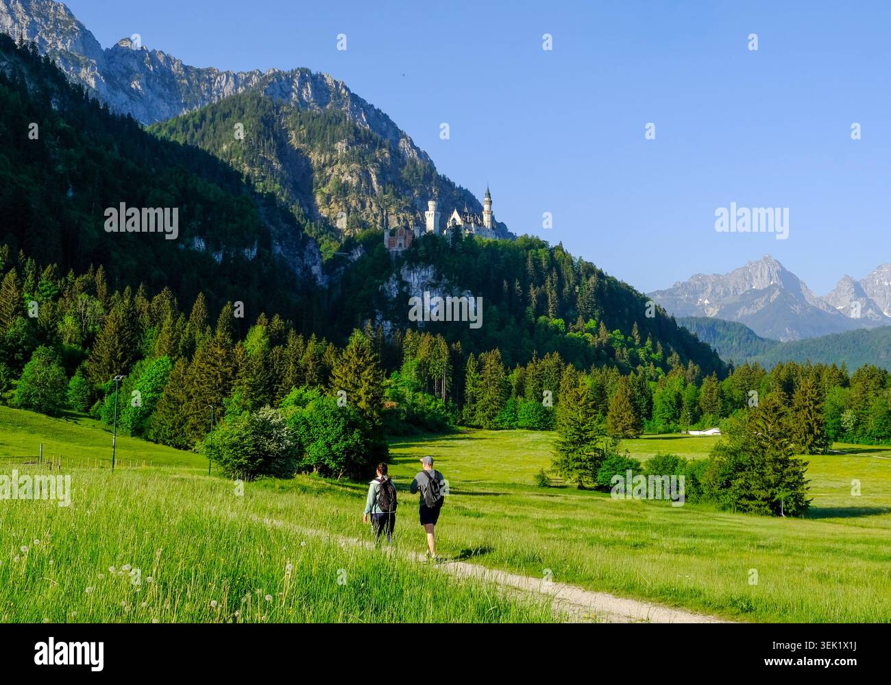 Escursionisti su un sentiero ai piedi del castello di Neuschwanstein arroccato su una collina boscosa sopra verdi prati delle Alpi Bavaresi, in Germania Foto Stock