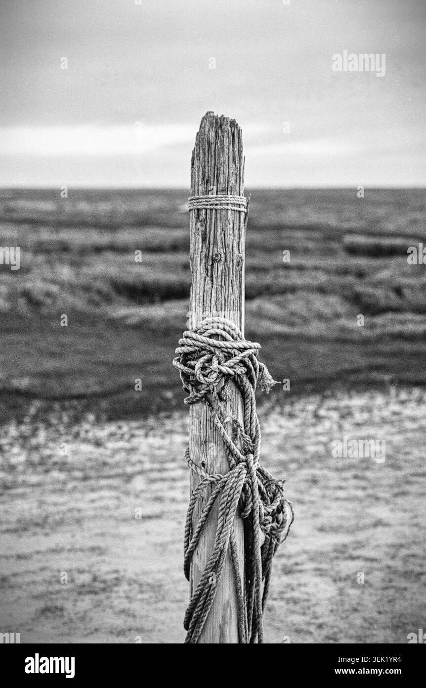 Palo in legno con corde a Brancaster Staithe, Norfolk, Regno Unito, girato su pellicola monocromatica granulosa Foto Stock